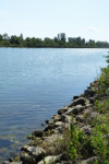 The Danube near Vienna