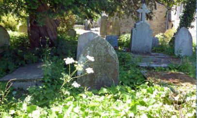 Graves Ann and Harriet Guion